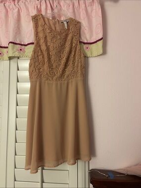 Miss Closet Tan Sleeveless Embroidered Chiffon Dress